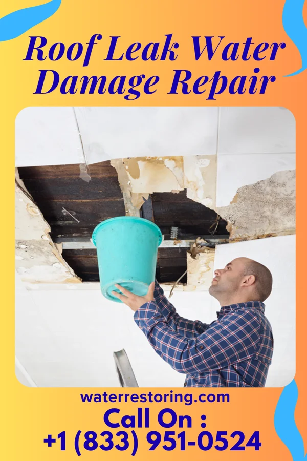 Roof Leak Water Damage Repair in Calamus, IA