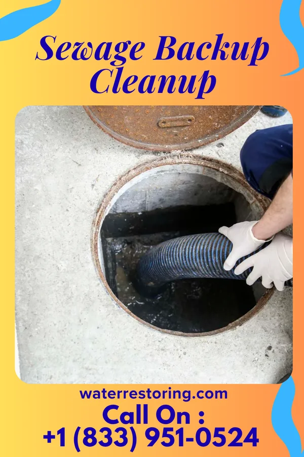 Sewage Backup Cleanup in Calamus, IA